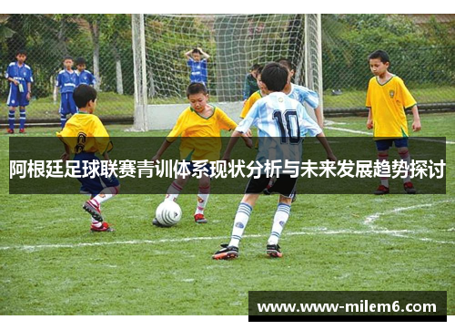 阿根廷足球联赛青训体系现状分析与未来发展趋势探讨
