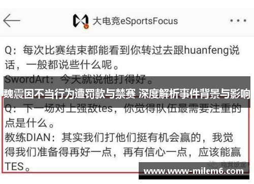 魏震因不当行为遭罚款与禁赛 深度解析事件背景与影响