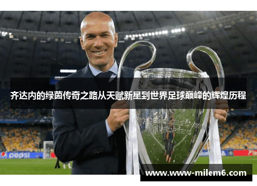 齐达内的绿茵传奇之路从天赋新星到世界足球巅峰的辉煌历程